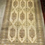 865 2588 ORIENTAL RUG